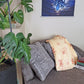 Plush Throw Blanket